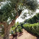 فيلة Il Corallo