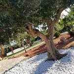 فيلة Il Corallo