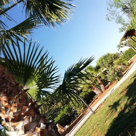 Villa Il Corallo *