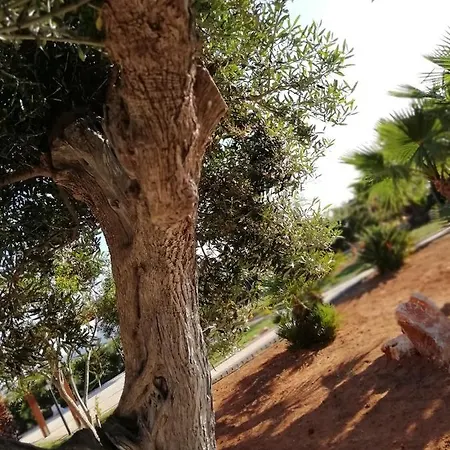 Il Corallo * San Vito Lo Capo