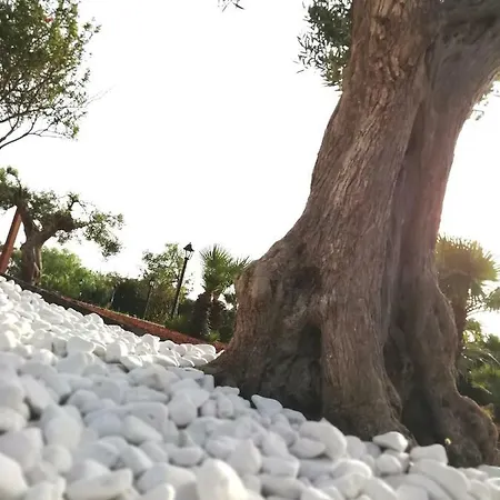 Il Corallo * San Vito Lo Capo